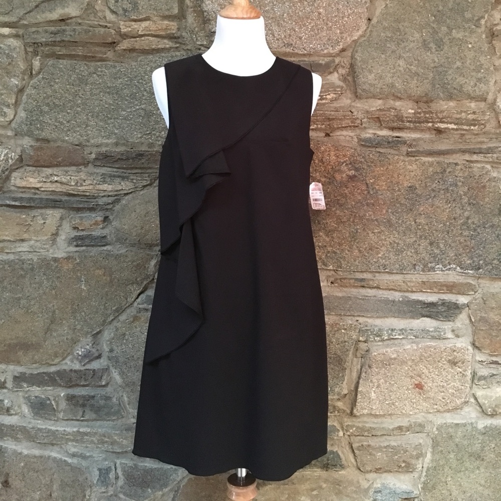 NEW Cynthia Steffe shift dress